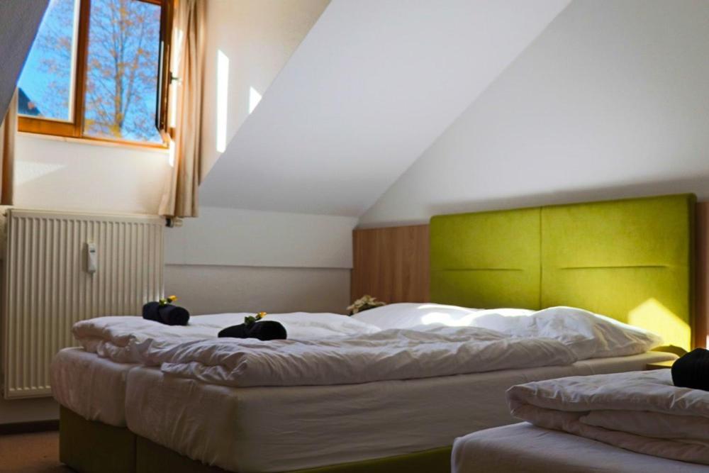 Fitapartman Mitterfirmiansreut Esterno foto
